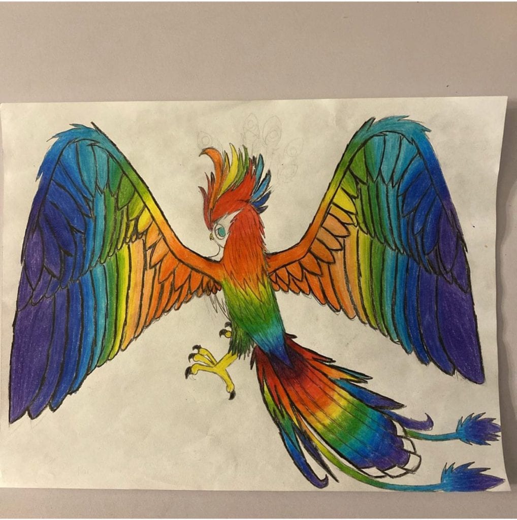 a drawing of a bird using bright colors | bobs discount